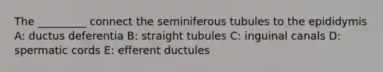 The _________ connect the seminiferous tubules to the epididymis A: ductus deferentia B: straight tubules C: inguinal canals D: spermatic cords E: efferent ductules