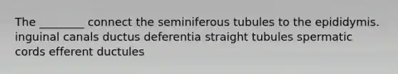 The ________ connect the seminiferous tubules to the epididymis. inguinal canals ductus deferentia straight tubules spermatic cords efferent ductules