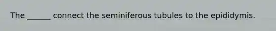 The ______ connect the seminiferous tubules to the epididymis.