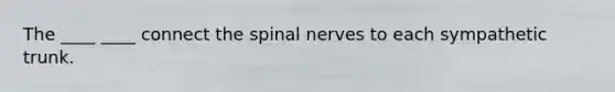 The ____ ____ connect the spinal nerves to each sympathetic trunk.