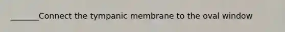 _______Connect the tympanic membrane to the oval window