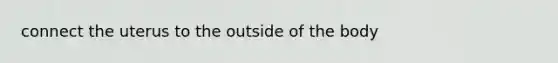 connect the uterus to the outside of the body