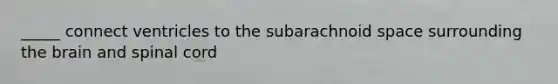 _____ connect ventricles to the subarachnoid space surrounding the brain and spinal cord