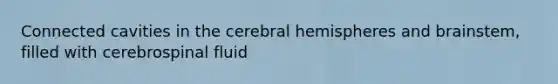 Connected cavities in the cerebral hemispheres and brainstem, filled with cerebrospinal fluid