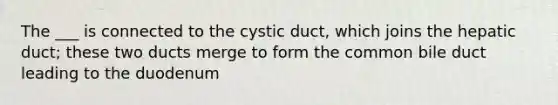 The ___ is connected to the cystic duct, which joins the hepatic duct; these two ducts merge to form the common bile duct leading to the duodenum