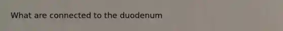 What are connected to the duodenum