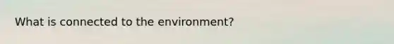 What is connected to the environment?