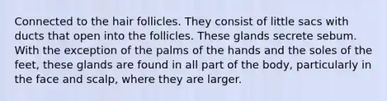 Connected to the hair follicles. They consist of little sacs with ducts that open into the follicles. These glands secrete sebum. With the exception of the palms of the hands and the soles of the feet, these glands are found in all part of the body, particularly in the face and scalp, where they are larger.