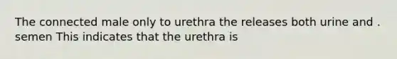 The connected male only to urethra the releases both urine and . semen This indicates that the urethra is