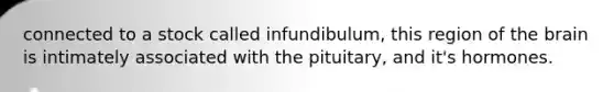 connected to a stock called infundibulum, this region of the brain is intimately associated with the pituitary, and it's hormones.