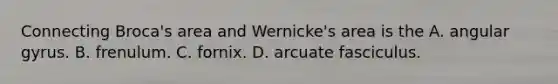 Connecting Broca's area and Wernicke's area is the A. angular gyrus. B. frenulum. C. fornix. D. arcuate fasciculus.