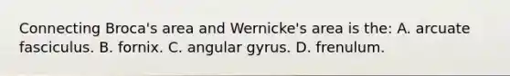 Connecting Broca's area and Wernicke's area is the: A. arcuate fasciculus. B. fornix. C. angular gyrus. D. frenulum.