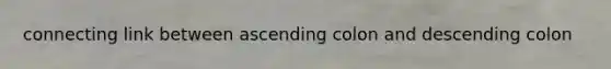 connecting link between ascending colon and descending colon