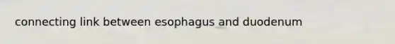 connecting link between esophagus and duodenum