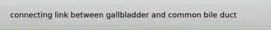 connecting link between gallbladder and common bile duct