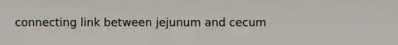 connecting link between jejunum and cecum