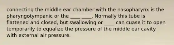 connecting the middle ear chamber with the nasopharynx is the pharyngotympanic or the ____ ____. Normally this tube is flattened and closed, but swallowing or ____ can cuase it to open temporarily to equalize the pressure of the middle ear cavity with external air pressure.