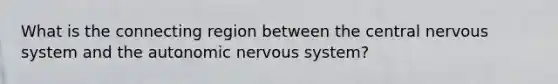 What is the connecting region between the central nervous system and the autonomic nervous system?