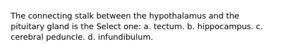 The connecting stalk between the hypothalamus and the pituitary gland is the Select one: a. tectum. b. hippocampus. c. cerebral peduncle. d. infundibulum.