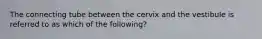 The connecting tube between the cervix and the vestibule is referred to as which of the following?