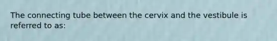 The connecting tube between the cervix and the vestibule is referred to as: