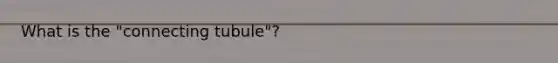 What is the "connecting tubule"?