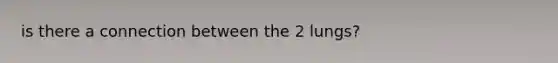 is there a connection between the 2 lungs?