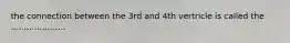 the connection between the 3rd and 4th vertricle is called the .....................