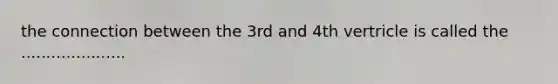 the connection between the 3rd and 4th vertricle is called the .....................