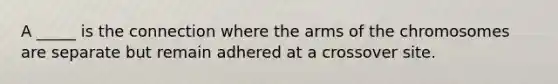 A _____ is the connection where the arms of the chromosomes are separate but remain adhered at a crossover site.