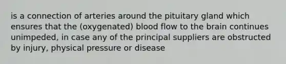 is a connection of arteries around the pituitary gland which ensures that the (oxygenated) blood flow to the brain continues unimpeded, in case any of the principal suppliers are obstructed by injury, physical pressure or disease