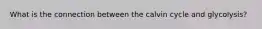 What is the connection between the calvin cycle and glycolysis?