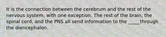 It is the connection between the cerebrum and the rest of the nervous system, with one exception. The rest of the brain, the spinal cord, and the PNS all send information to the _____through the diencephalon.