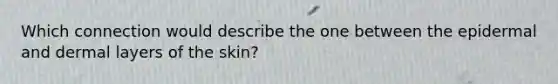 Which connection would describe the one between the epidermal and dermal layers of the skin?