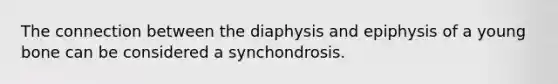 The connection between the diaphysis and epiphysis of a young bone can be considered a synchondrosis.