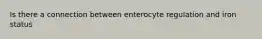Is there a connection between enterocyte regulation and iron status