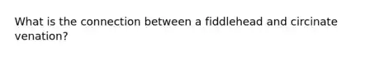What is the connection between a fiddlehead and circinate venation?