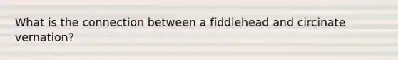 What is the connection between a fiddlehead and circinate vernation?