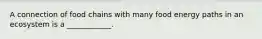 A connection of food chains with many food energy paths in an ecosystem is a ____________.