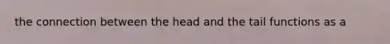 the connection between the head and the tail functions as a