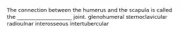 The connection between the humerus and the scapula is called the _____________________ joint. glenohumeral sternoclavicular radioulnar interosseous intertubercular