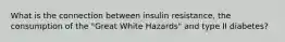 What is the connection between insulin resistance, the consumption of the "Great White Hazards" and type II diabetes?