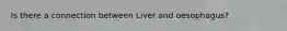 Is there a connection between Liver and oesophagus?