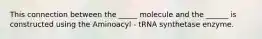 This connection between the _____ molecule and the ______ is constructed using the Aminoacyl - tRNA synthetase enzyme.