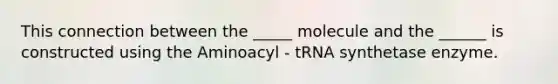 This connection between the _____ molecule and the ______ is constructed using the Aminoacyl - tRNA synthetase enzyme.