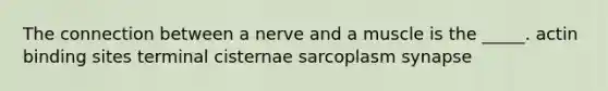 The connection between a nerve and a muscle is the _____. actin binding sites terminal cisternae sarcoplasm synapse