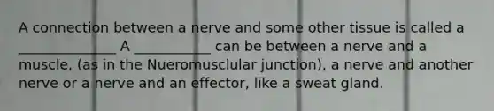 A connection between a nerve and some other tissue is called a ______________ A ___________ can be between a nerve and a muscle, (as in the Nueromusclular junction), a nerve and another nerve or a nerve and an effector, like a sweat gland.