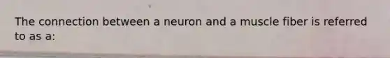 The connection between a neuron and a muscle fiber is referred to as a: