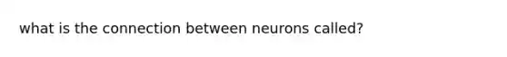 what is the connection between neurons called?