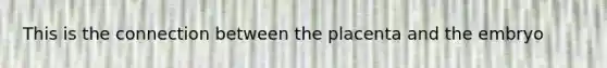 This is the connection between the placenta and the embryo